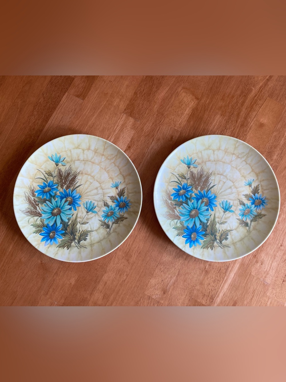 2, 1960’s melamine plates with blue floral pattern